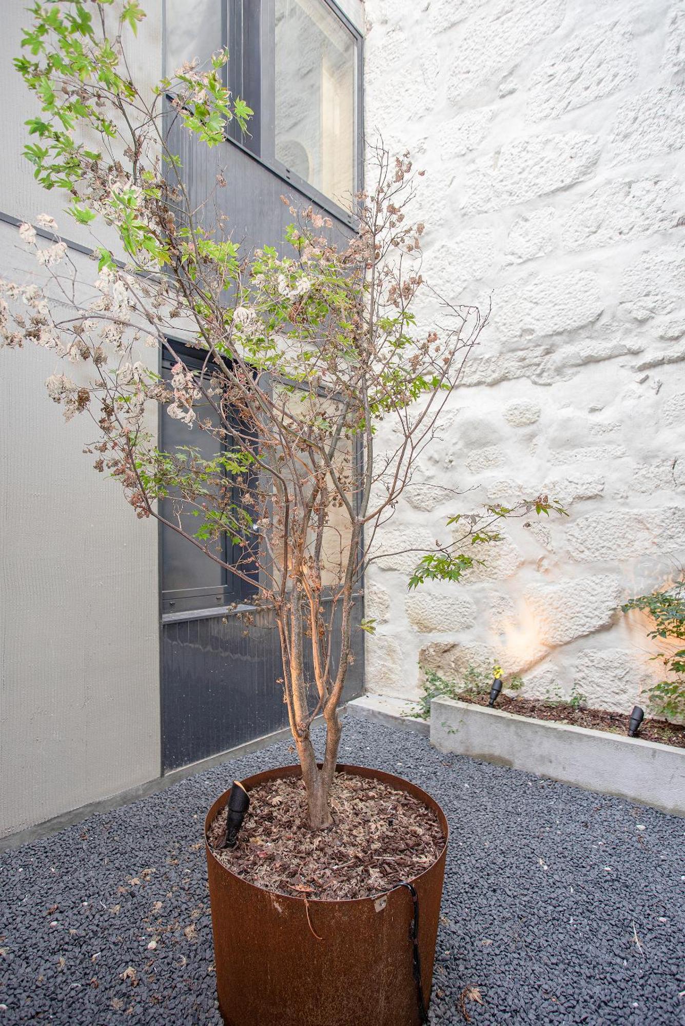 Liiiving In Porto - Bolhao Trendy Apartments Exterior photo