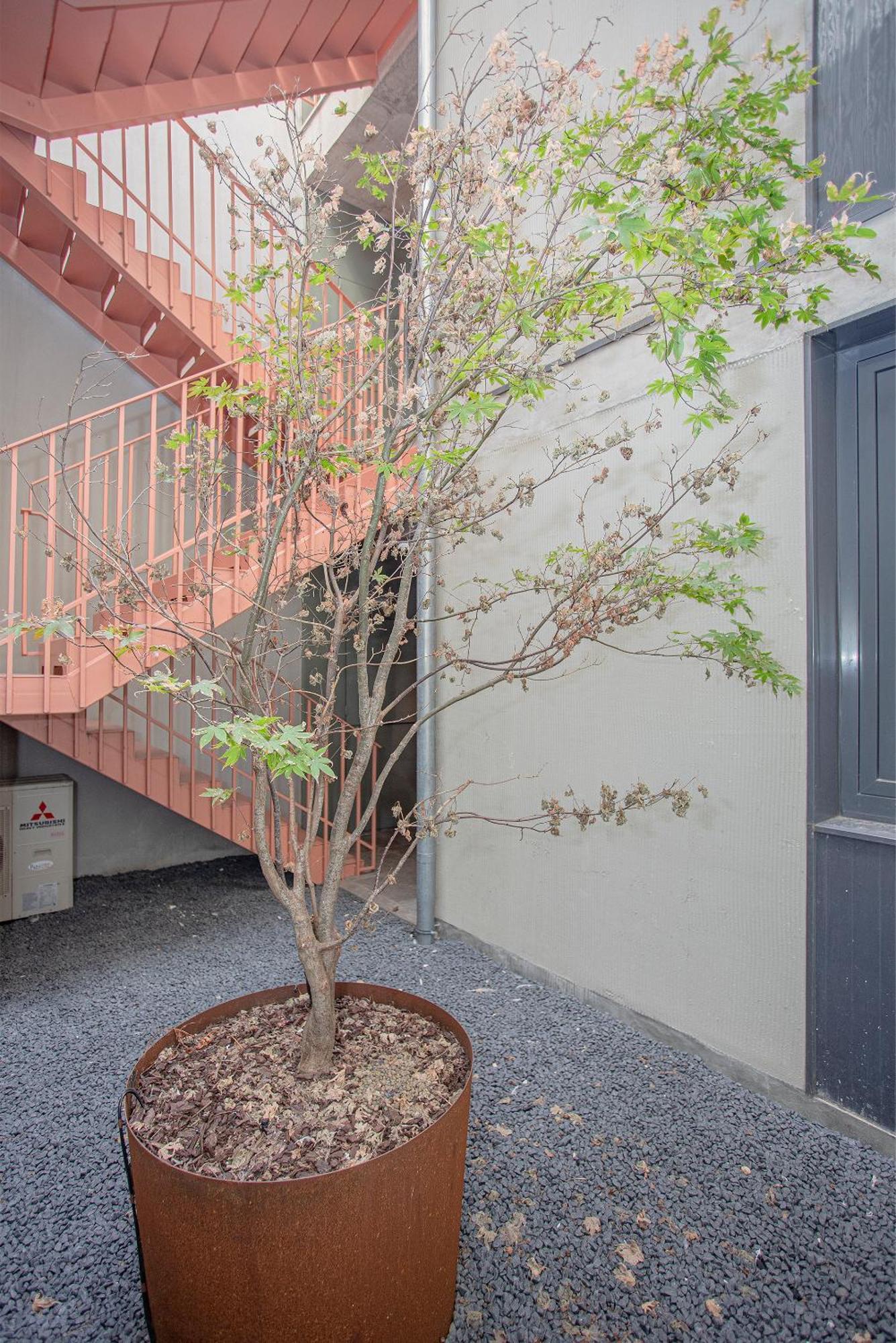 Liiiving In Porto - Bolhao Trendy Apartments Exterior photo